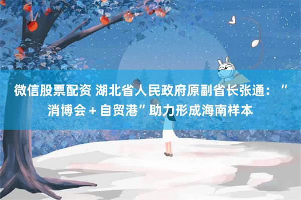 微信股票配资 湖北省人民政府原副省长张通：“消博会＋自贸港”助力形成海南样本