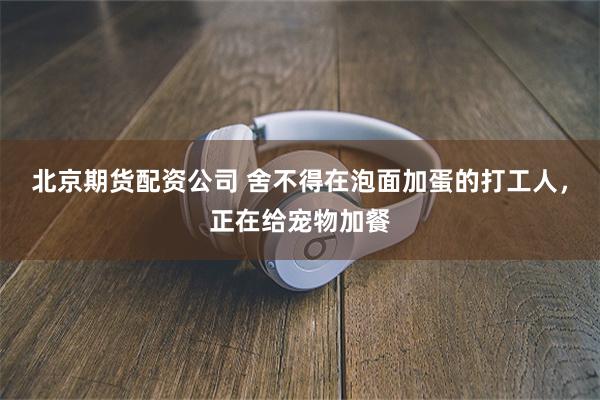 北京期货配资公司 舍不得在泡面加蛋的打工人，正在给宠物加餐