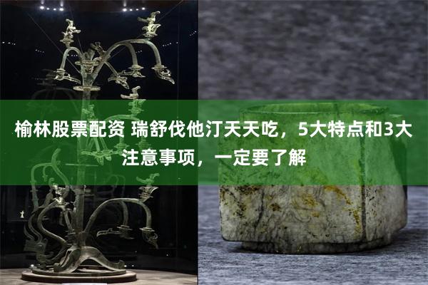 榆林股票配资 瑞舒伐他汀天天吃，5大特点和3大注意事项，一定要了解