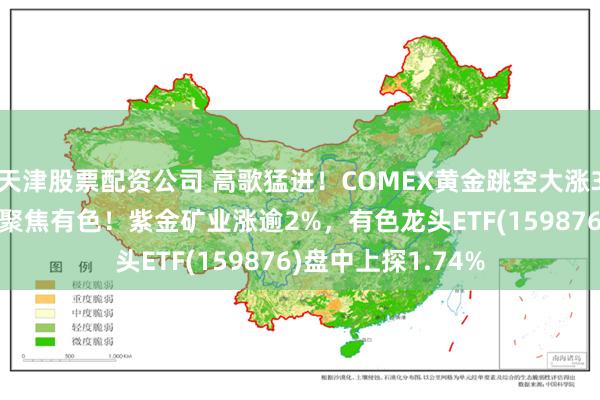 天津股票配资公司 高歌猛进！COMEX黄金跳空大涨3.29%，市场再度聚焦有色！紫金矿业涨逾2%，有色龙头ETF(159876)盘中上探1.74%