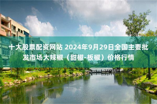 十大股票配资网站 2024年9月29日全国主要批发市场大辣椒（甜椒-板椒）价格行情