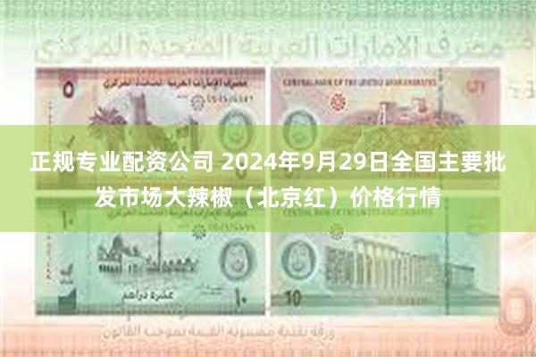 正规专业配资公司 2024年9月29日全国主要批发市场大辣椒（北京红）价格行情