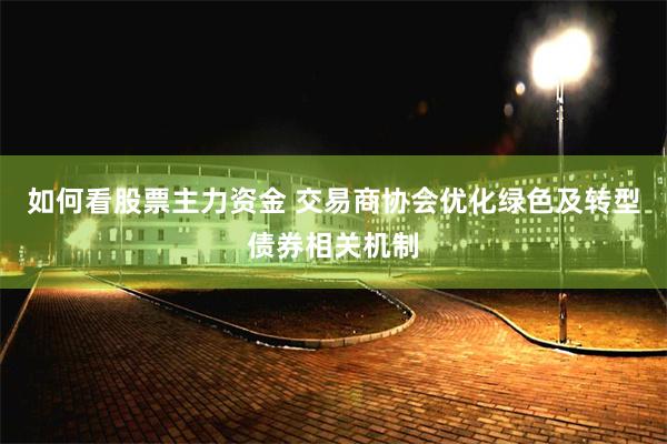 如何看股票主力资金 交易商协会优化绿色及转型债券相关机制