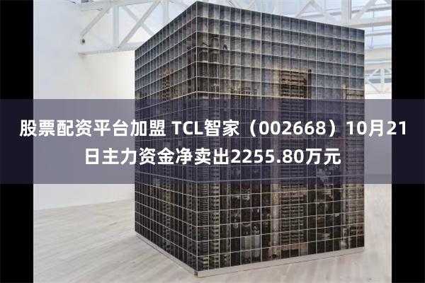 股票配资平台加盟 TCL智家（002668）10月21日主力资金净卖出2255.80万元