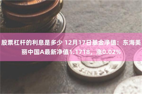 股票杠杆的利息是多少 12月17日基金净值：东海美丽中国A最新净值1.1718，涨0.02%