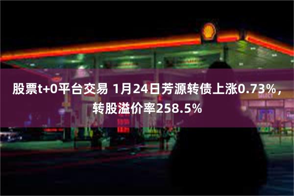 股票t+0平台交易 1月24日芳源转债上涨0.73%，转股溢价率258.5%