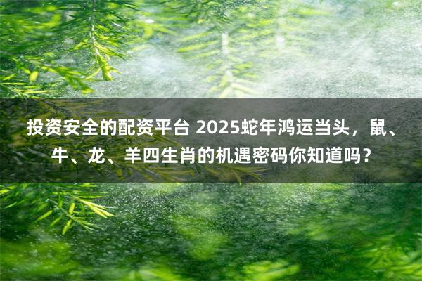 投资安全的配资平台 2025蛇年鸿运当头，鼠、牛、龙、羊四生肖的机遇密码你知道吗？