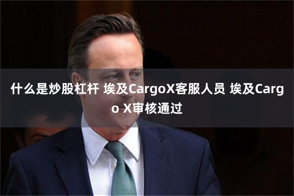 什么是炒股杠杆 埃及CargoX客服人员 埃及Cargo X审核通过