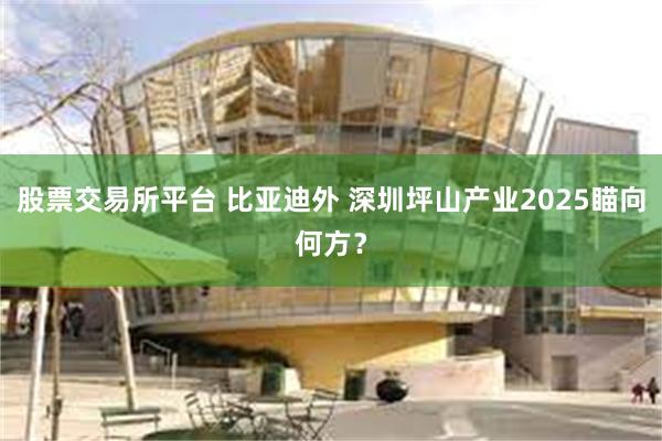 股票交易所平台 比亚迪外 深圳坪山产业2025瞄向何方？