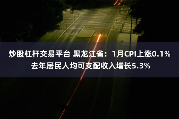 炒股杠杆交易平台 黑龙江省：1月CPI上涨0.1% 去年居民人均可支配收入增长5.3%